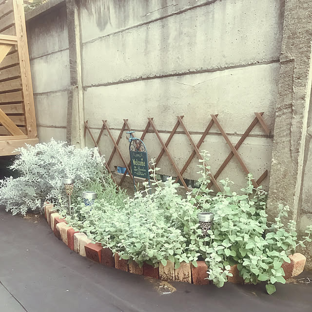 Saiiiさんの実例写真