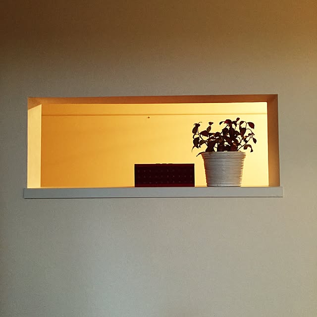 ukkさんの実例写真