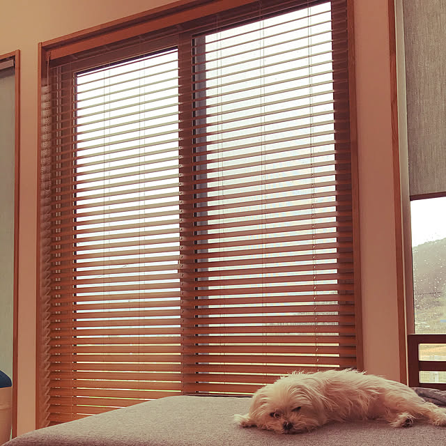 rinmofuさんの実例写真