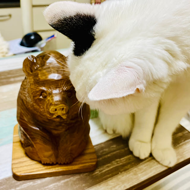 YUKAさんの部屋