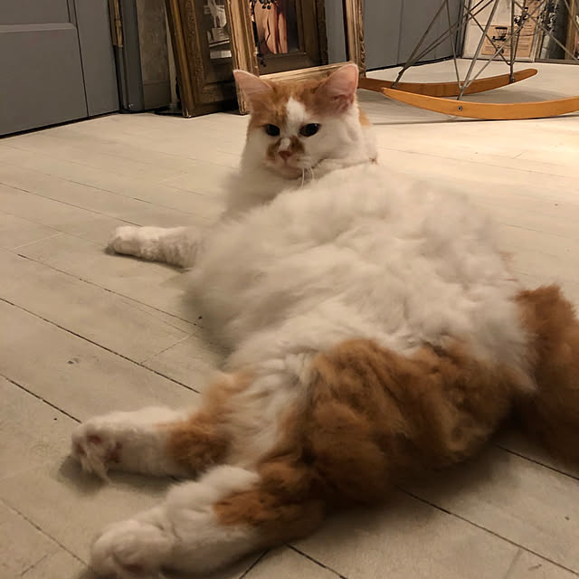 mannersさんの実例写真