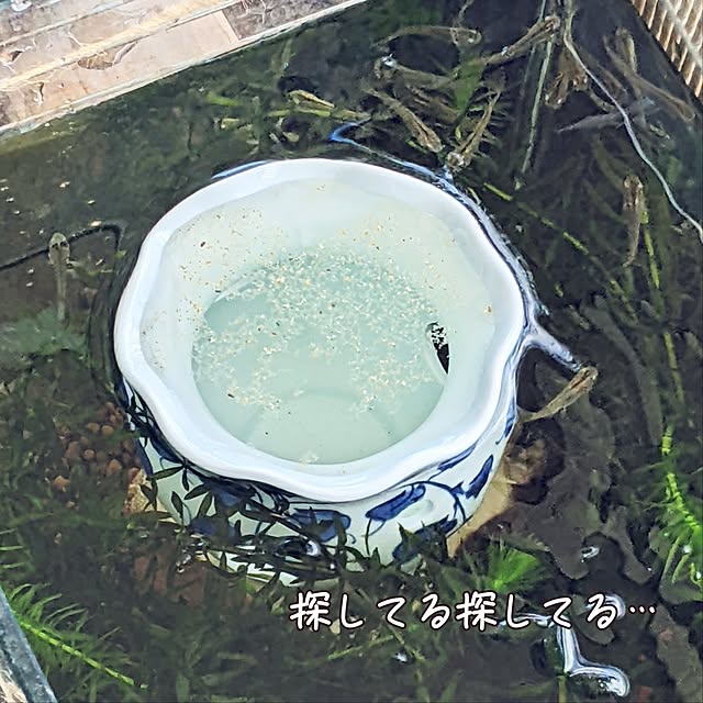 mi-saさんの部屋