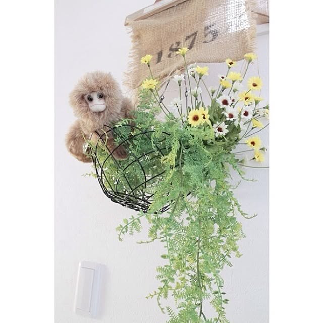 inazaurusuさんの実例写真