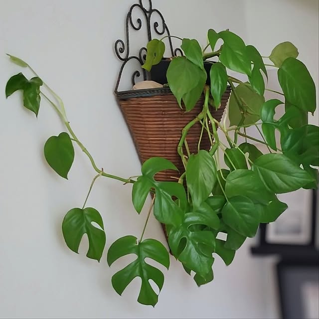 jinさんの部屋
