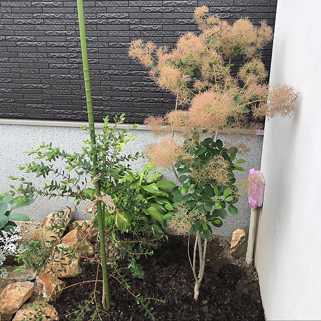 izumoanさんの実例写真