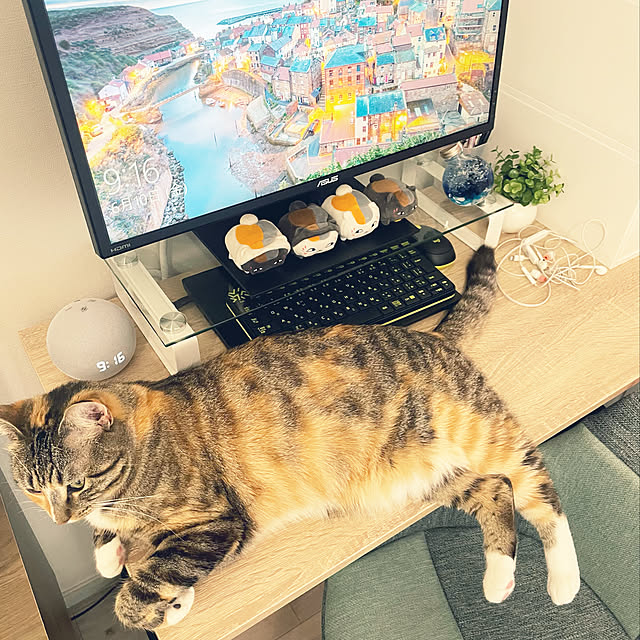 konuさんの実例写真