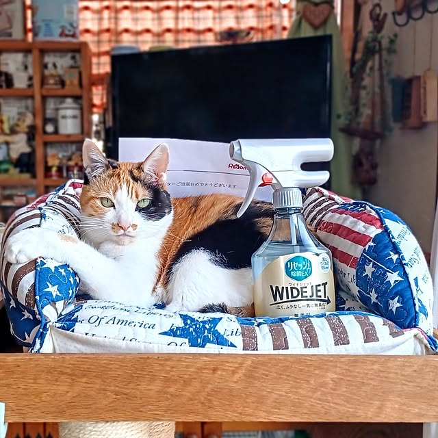 nanaさんの部屋