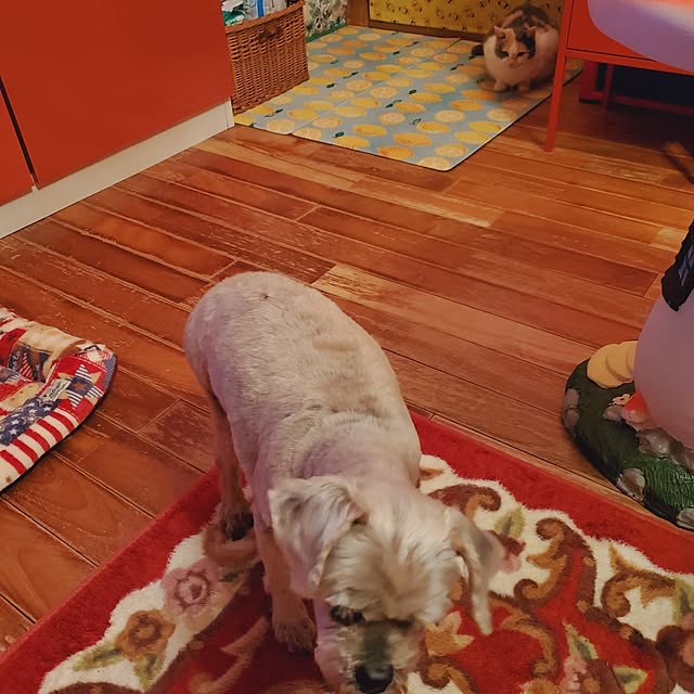 kumutanさんの部屋