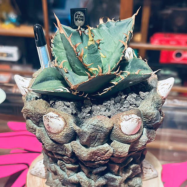 floydさんの実例写真