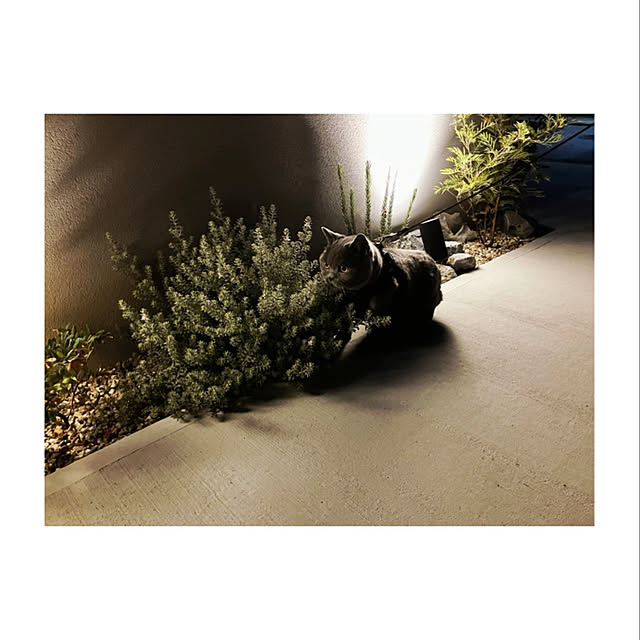 BTGさんの実例写真