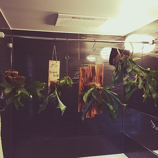 405.mさんの実例写真