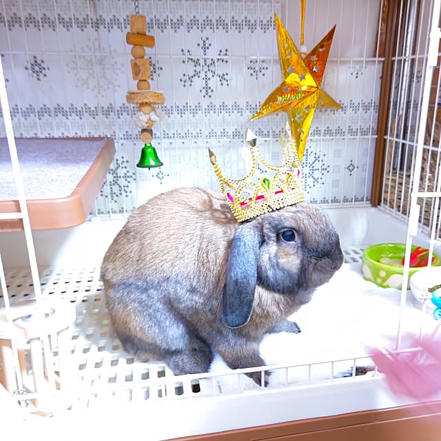 mariaさんの部屋