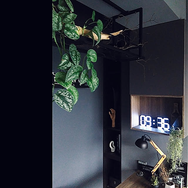 観葉植物/男前/雑貨/DIY/照明...などのインテリア実例 - 2022-02-21 11:07:46