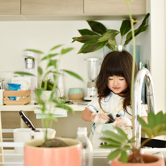 yukimeltさんの実例写真
