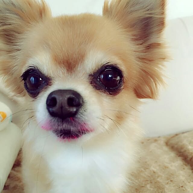 achiさんの実例写真