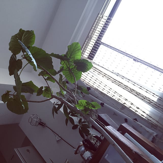 okikamさんの実例写真
