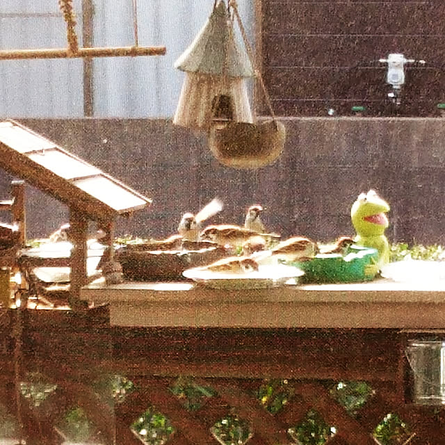 maiさんの実例写真