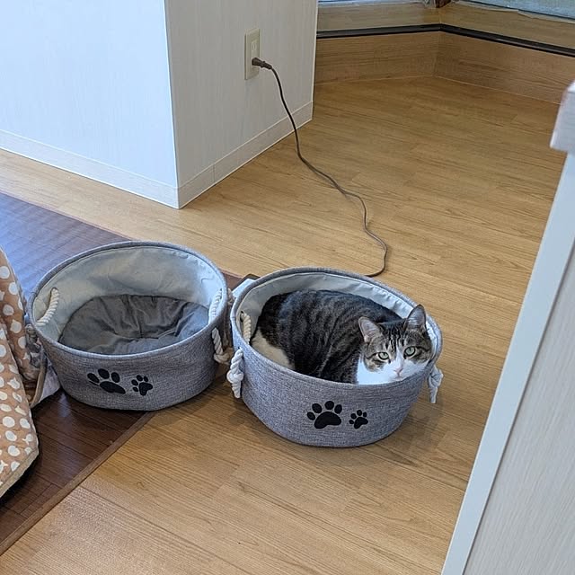 mori_6_12さんの部屋