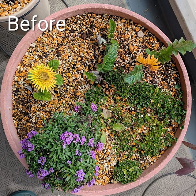 mi-saさんの部屋