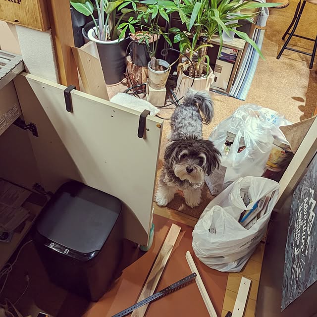 GINさんの実例写真