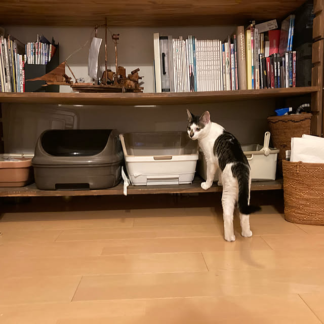 shuko22さんの実例写真