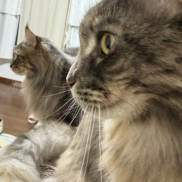 mayumiさんの部屋