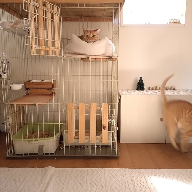 mayutan.さんの部屋