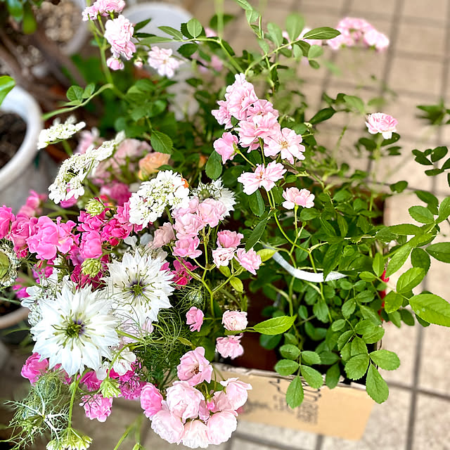 asako.10さんの部屋