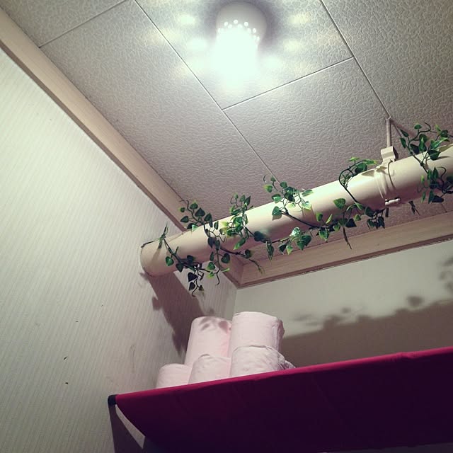amemuuuさんの実例写真