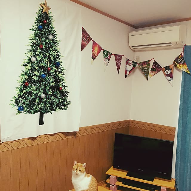 CHAMIさんの実例写真