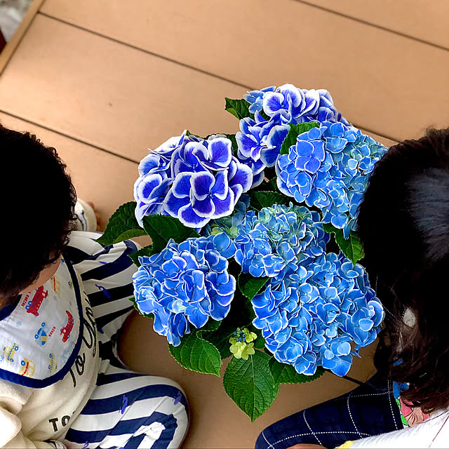 hinamamaさんの実例写真