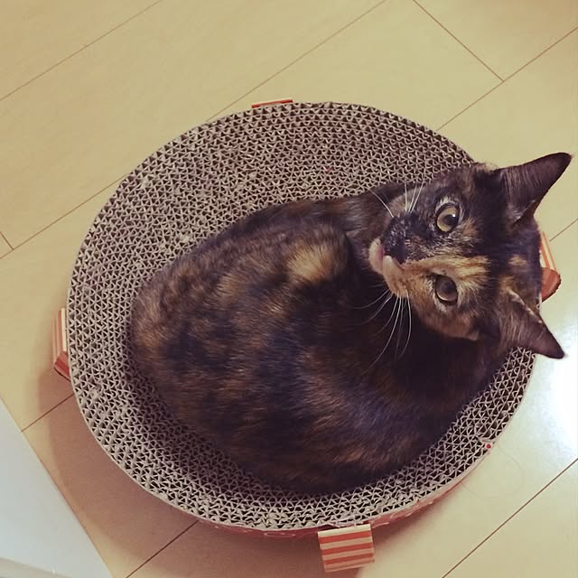 nmeeeさんの実例写真
