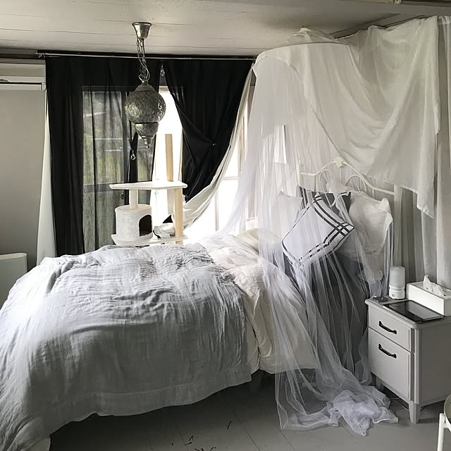 Shihoさんの実例写真