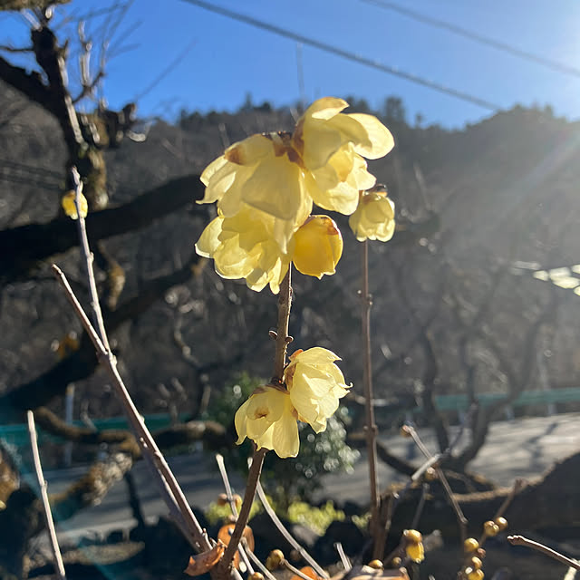 ikubooさんの部屋