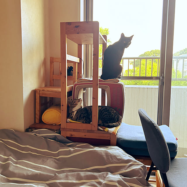 suemonta14さんの部屋