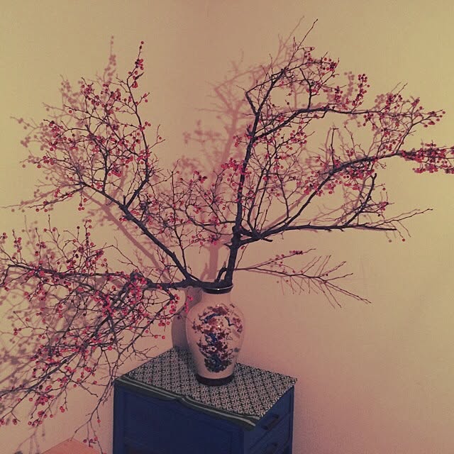 conさんの実例写真