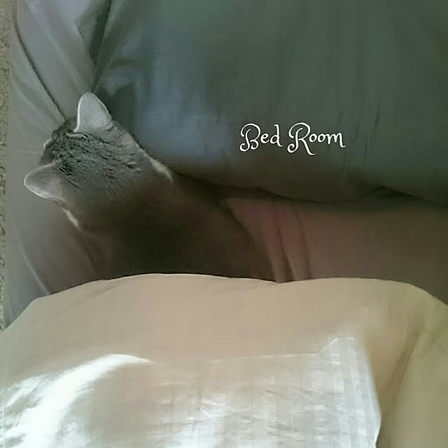 chicchiさんの実例写真