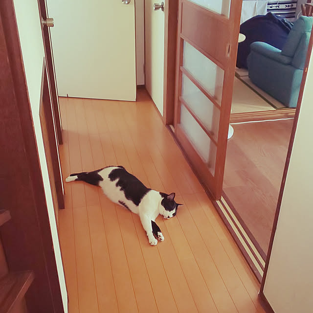 oseroさんの実例写真