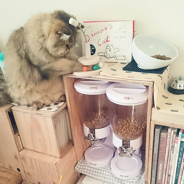 nanoさんの実例写真