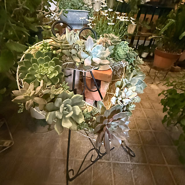 Aqettyさんの部屋