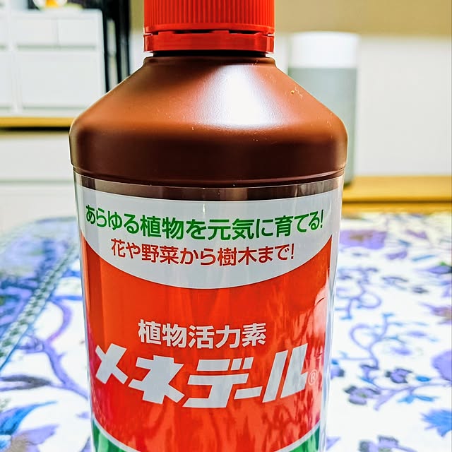 hanachanさんの実例写真