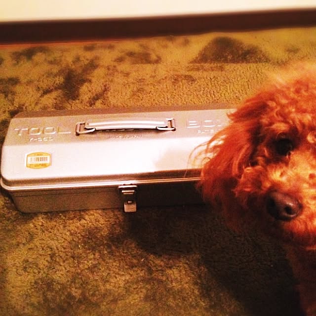 chocolatさんの実例写真