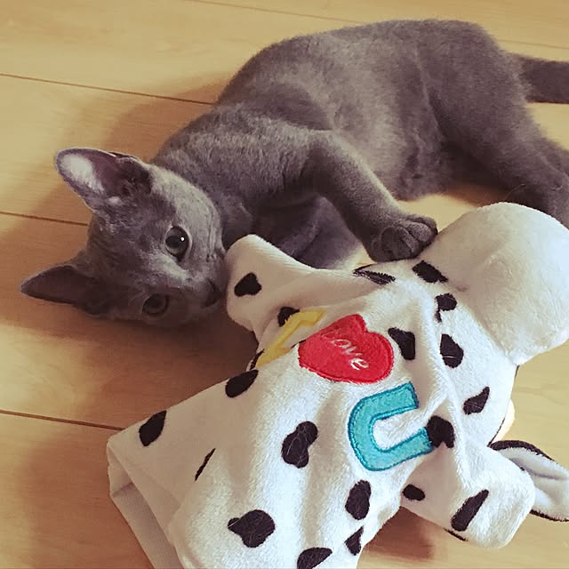 maripoさんの実例写真