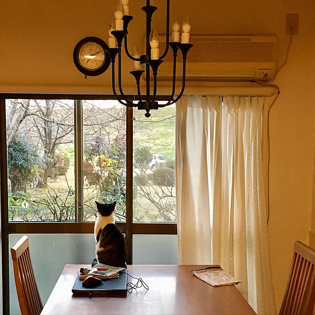 nerogaraginさんの実例写真