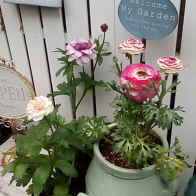 mariagardenさんの実例写真