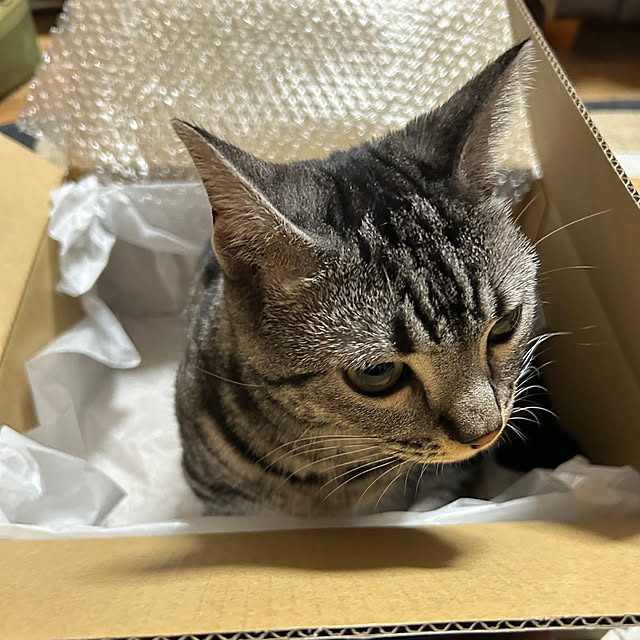 yumiさんの部屋