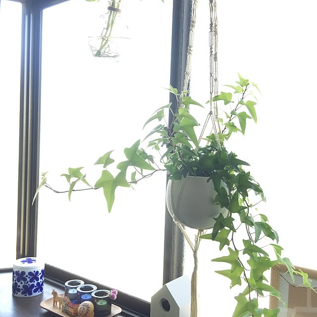 puchisyuhuさんの実例写真