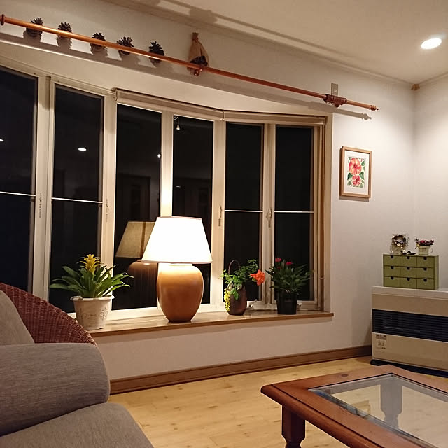 部屋全体のインテリア実例 - 2021-05-22 21:55:54