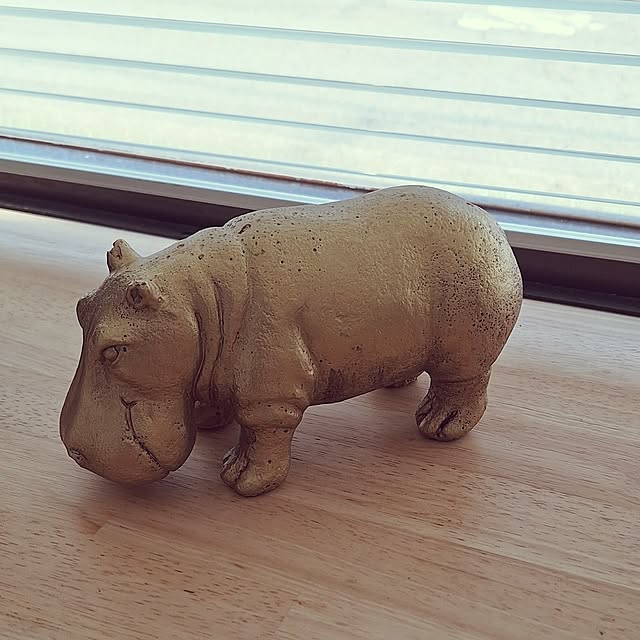 hanapanさんの実例写真