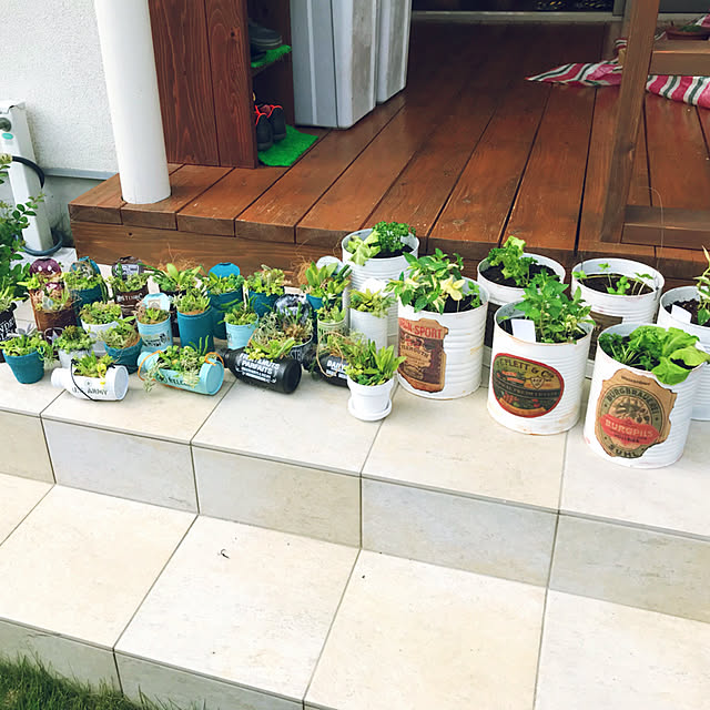 portulacaさんの実例写真